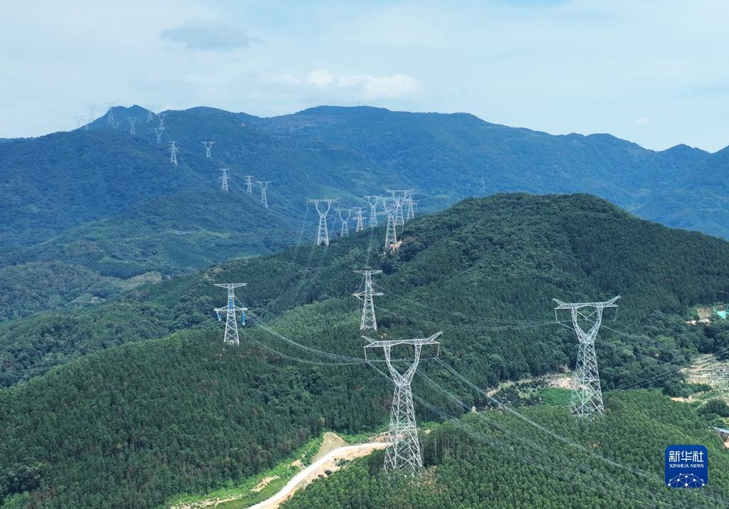 金鲨鱼银鲨鱼